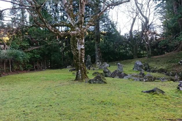 北畠神社　苔緑のカーペット